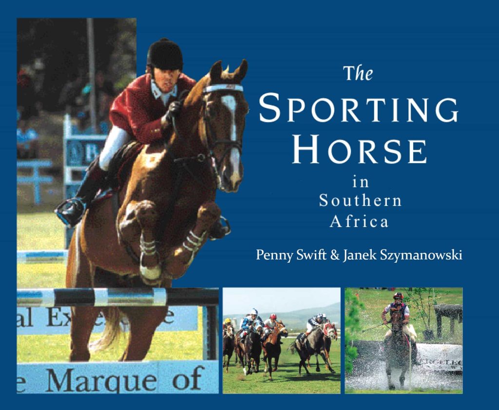 Sporting Horse03